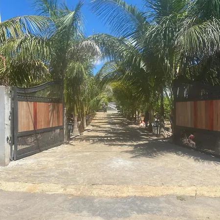 Allee Coco